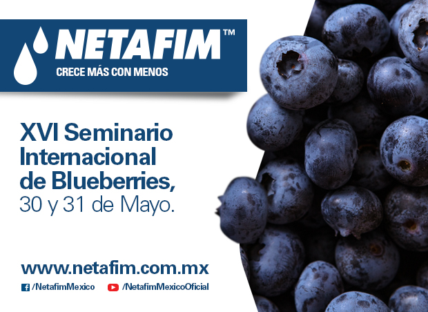 XVI Seminario Internacional de Blueberries