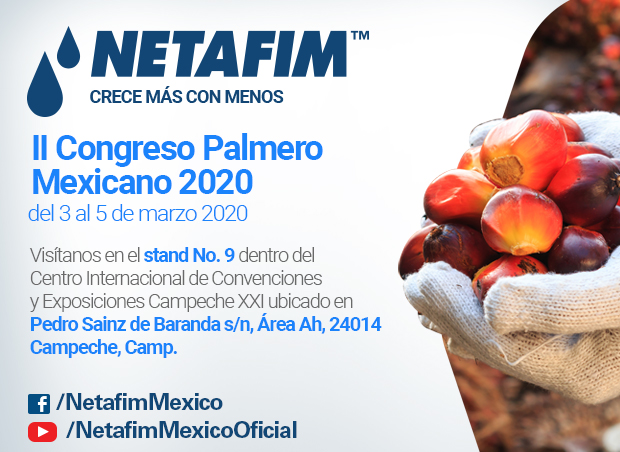 II Congreso Palmero Mexicano