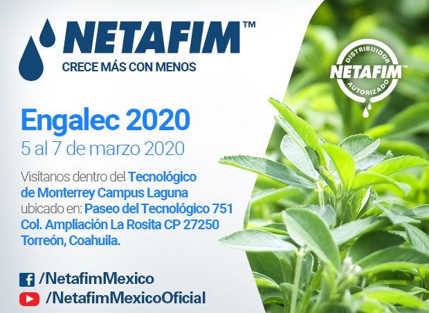 ENGALEC 2020