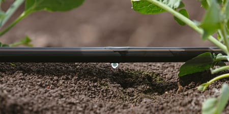 Desafíos globales y soluciones efectivas: El rol del riego de precisión en la agricultura moderna.