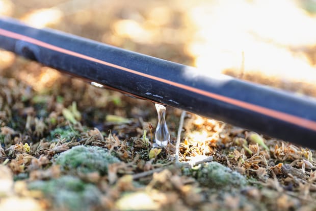 Beneficios de la tecnificación del riego en la agricultura