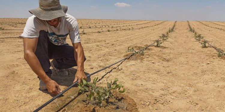 Riego de precisión: poder para el agricultor.