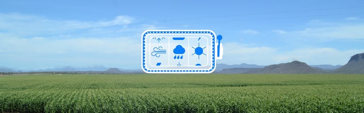 ¿Puede la humanidad apostar por el clima? - De la agricultura de temporal a la agricultura de riego