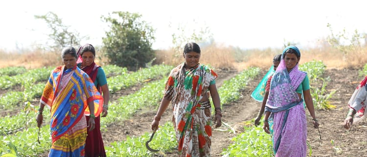 Empoderando a las mujeres en los países en desarrollo con Agrotecnología