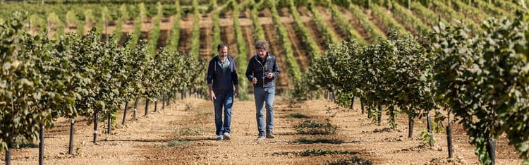 Banner ¿Podrán las herramientas digitales reemplazar el trabajo en campo de los agrónomos?