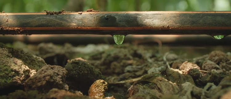 Banner La Circularidad y la Sustentabilidad: Claves para el Futuro del Desarrollo Agrícola en México