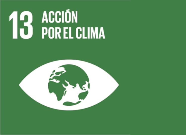 Acción por el clima