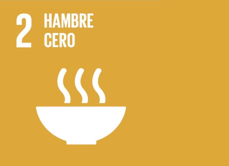 Hambre cero