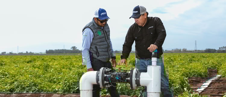 Válvulas de control Serie 75