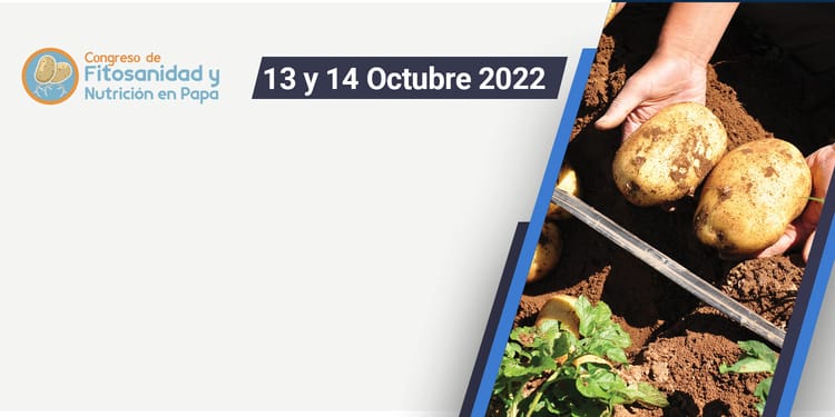 Formulario para registro de leads