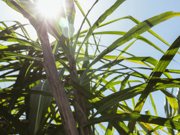 XLIV CONVENCIÓN EXPOATAM 2024